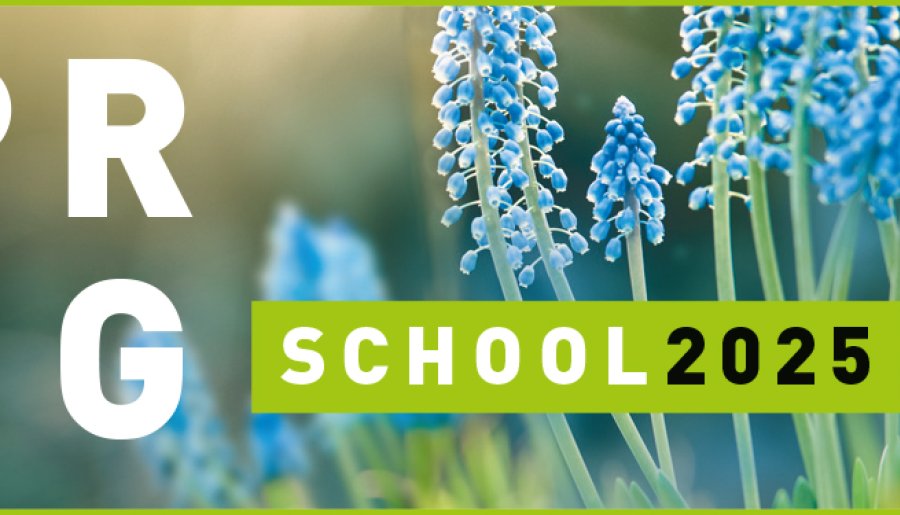 Springschool 2025 - schrijf je nu in!